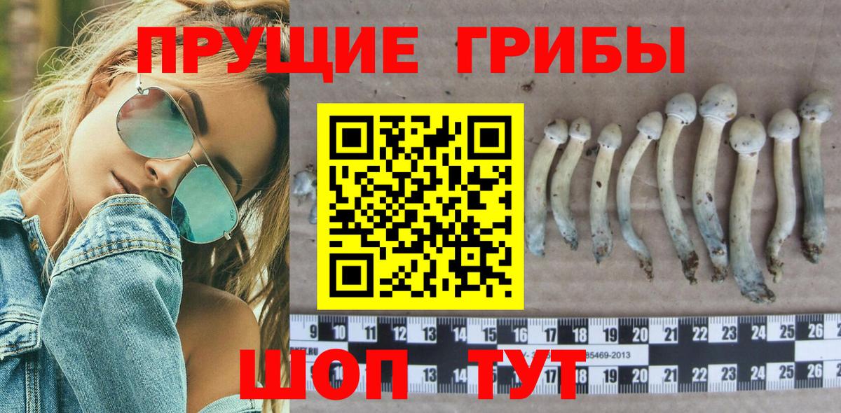 Дубна  Галлюциногенные грибы мухоморы  Вход с VPN 