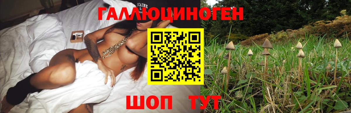 Псилоцибиновые грибы мицелий Дубна